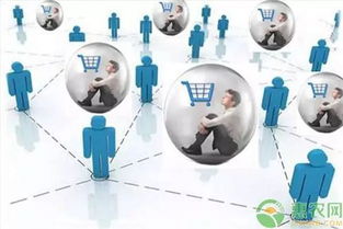 如何做好農產品電商